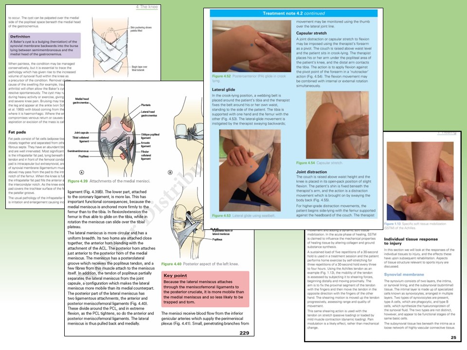 Sports & Soft Tissue Injuries - pages from the book